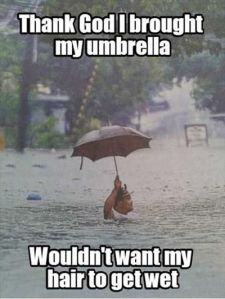 Funniest_Memes_thank-god-i-brought-my-umbrella-wouldn-t-want_11465